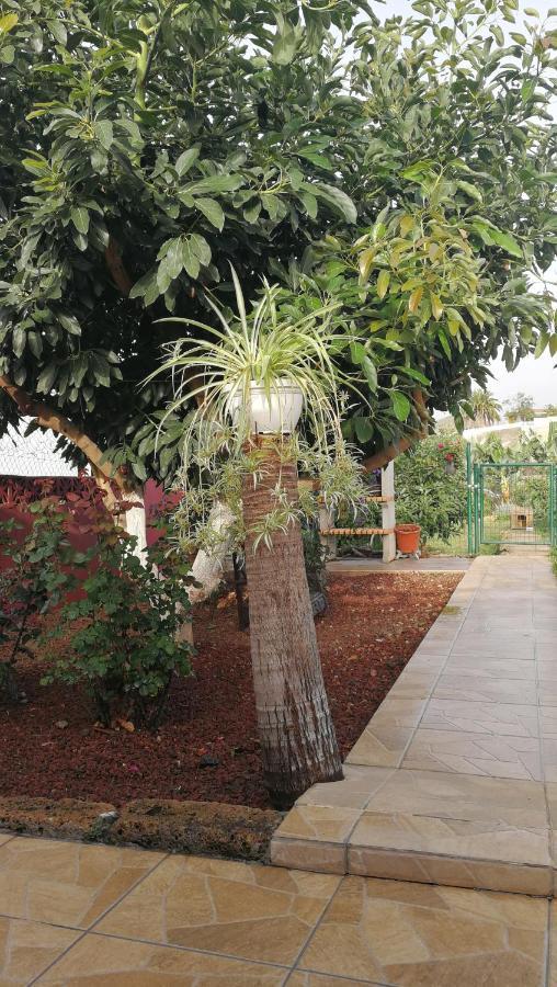 Lugares Comunes Pension Los Realejos Buitenkant foto