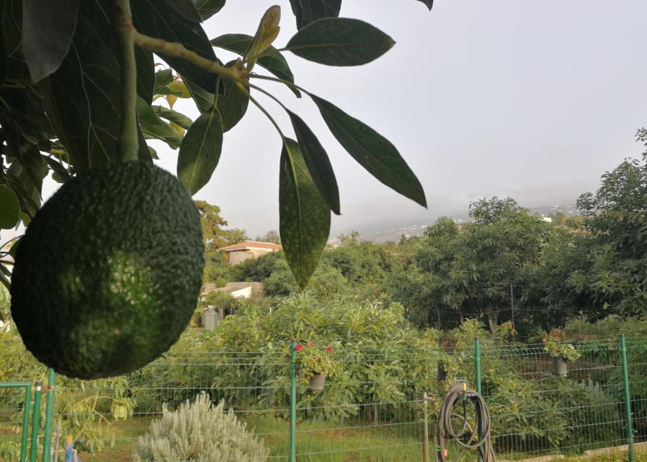 Lugares Comunes Pension Los Realejos Buitenkant foto