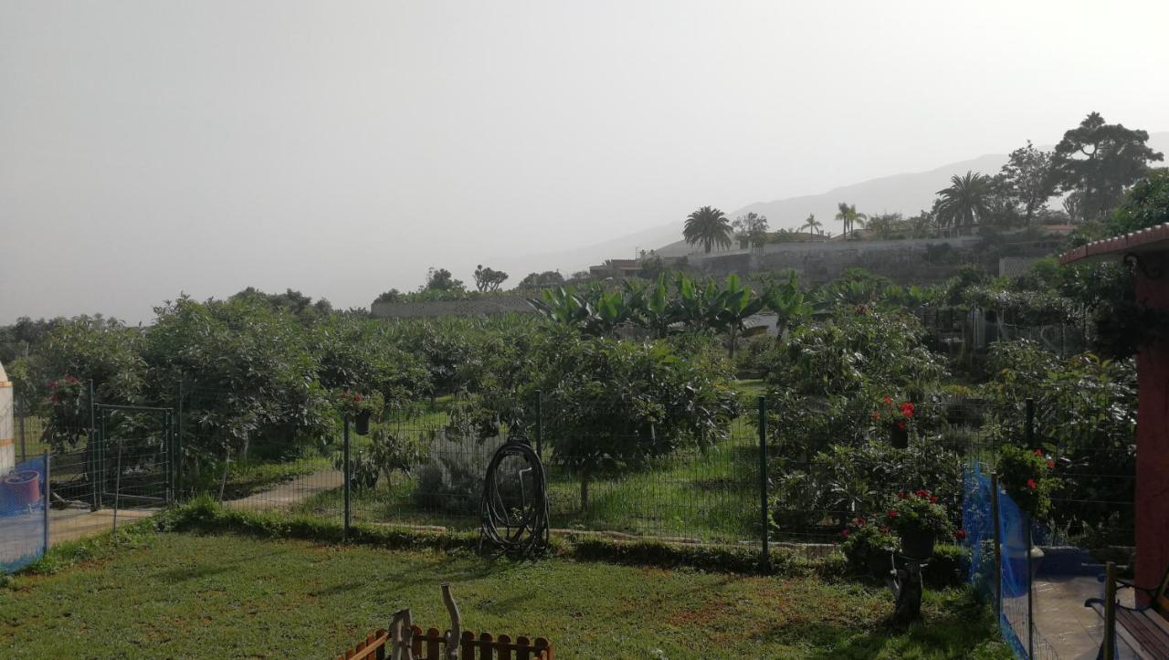 Lugares Comunes Pension Los Realejos Buitenkant foto